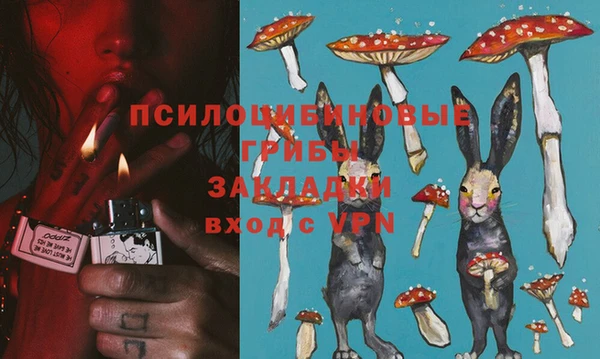 2c-b Лагань