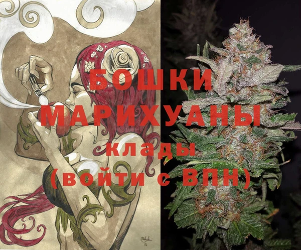 стафф Ладушкин